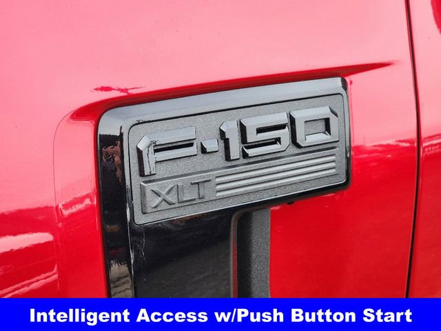2025 Ford F-150 XLT photo