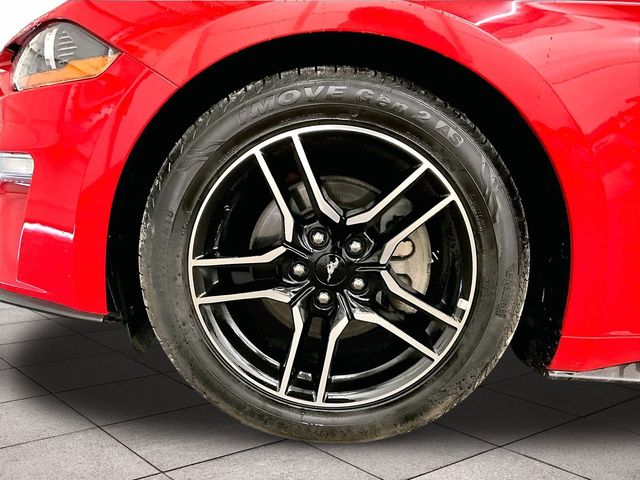 2018 Ford Mustang EcoBoost Premium Red at Bob Ruth Ford