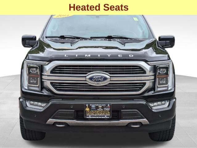 2021 Ford F-150 Limited 8