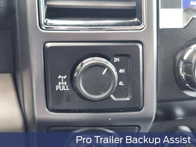 2019 Black Ford F-150 XLT 4X4 Truck