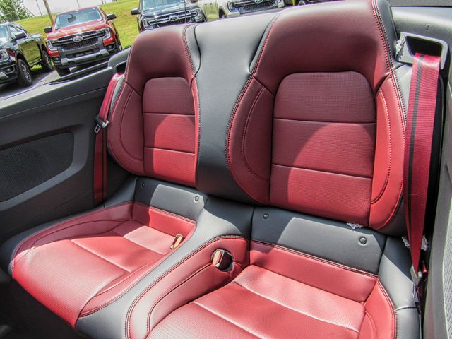 Photo of 2025 Ford Mustang GT Premium in Dallas, GA - 10,  2025 Ford Mustang GT Premium:167220