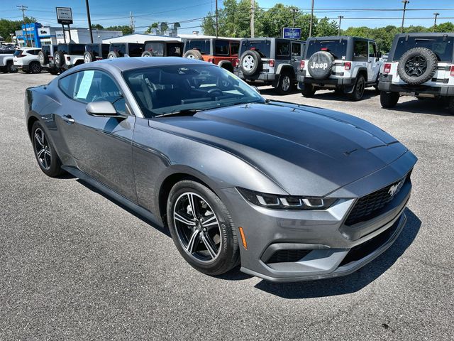 Used 2024 Gray Ford EcoBoost image 10