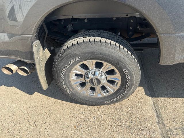 2019 Magnetic Ford Super Duty F-250 SRW XLT 4X4 Truck