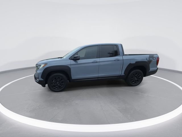 Used 2023 Gray Honda Black Edition image 4