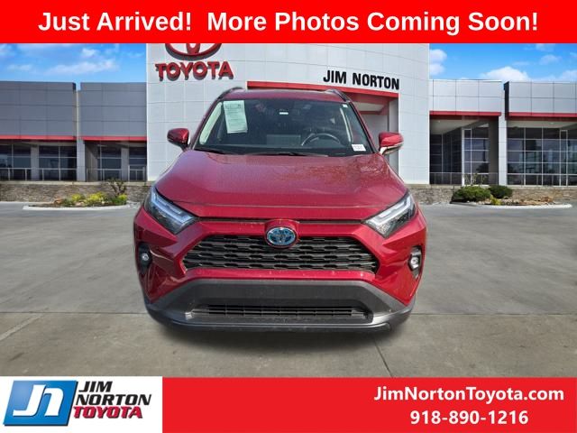 Used 2024 Toyota RAV4 XLE Premium with VIN 2T3B6RFV7RW078685 for sale in Northfield, Minnesota