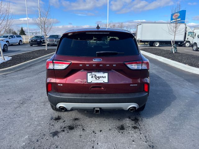 Used 2021 Ford Escape For Sale in Grove City, OH