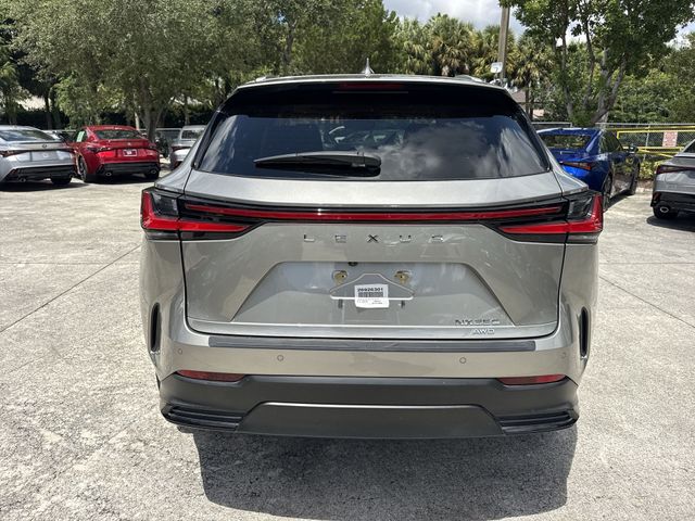 2025 Lexus NX - $45,998