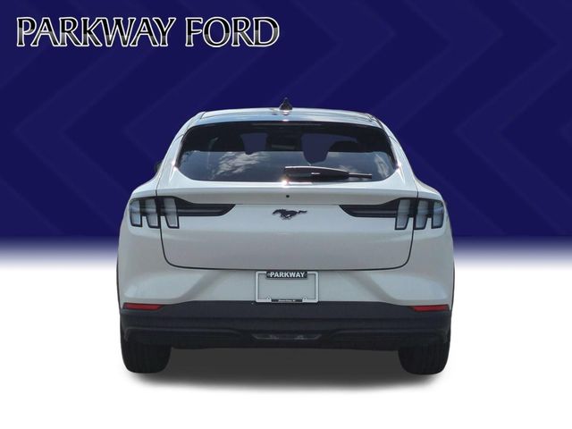 Used 2024 White Ford Select image 4