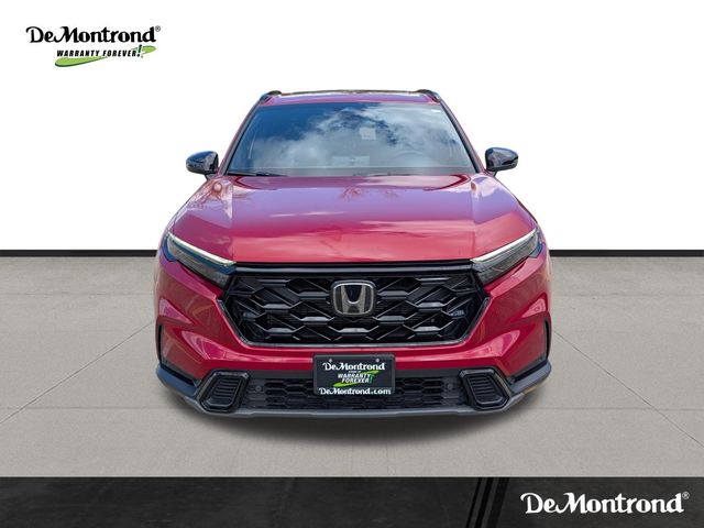 Used 2025 Red Honda Sport-L image 2