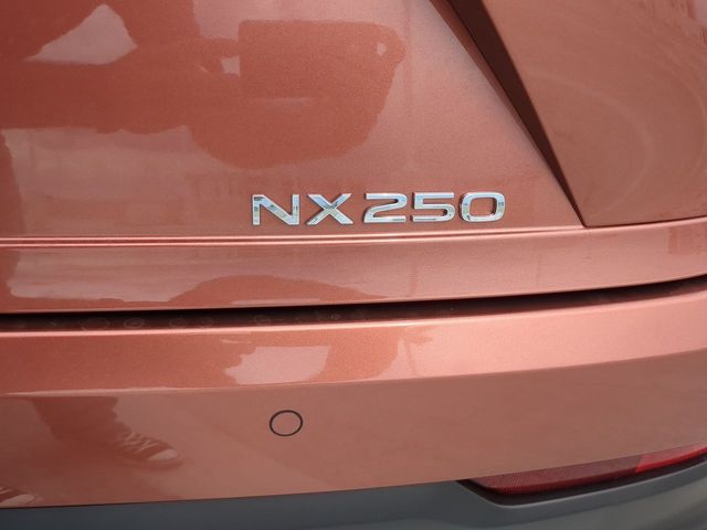 2025 Lexus NX - $39,888