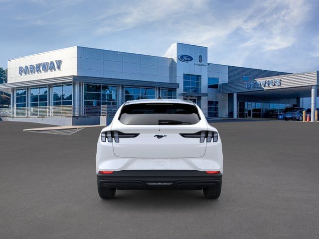 New 2026 White Ford Premium image 5