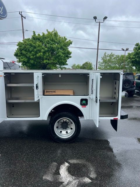 New 2026 White Ford XLT image 5