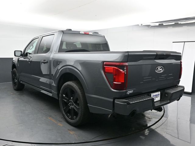 New 2026 Gray Ford STX image 6