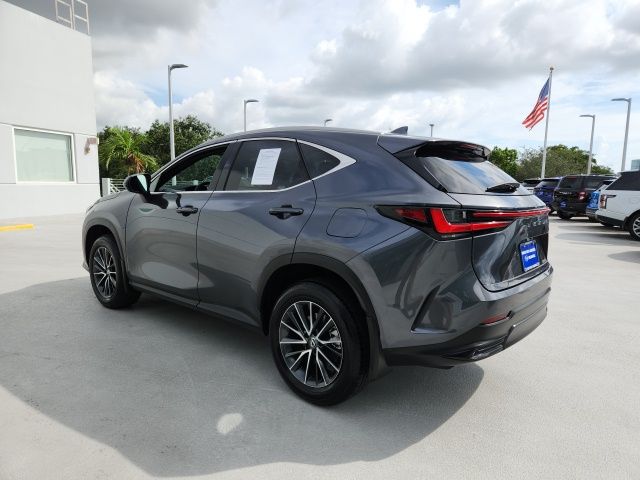 2024 Lexus NX 250 Base 11