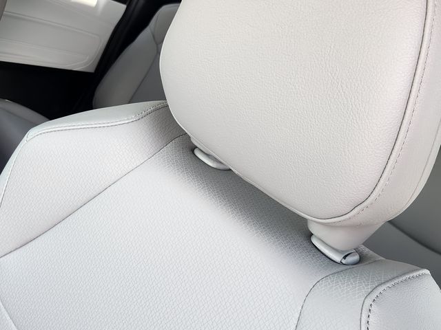 2026 Toyota Sienna XLE Black at Don McGill Toyota