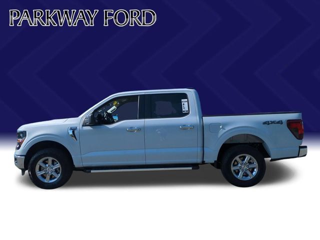 Used 2025 White Ford XLT image 2