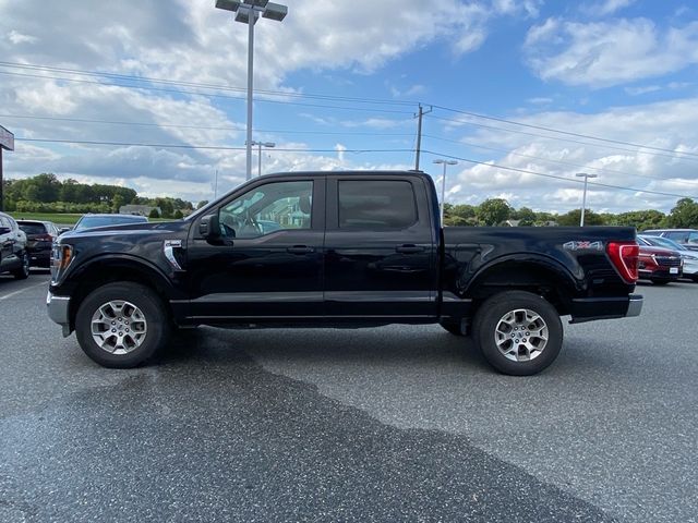 2023 Ford F-150 XLT 3