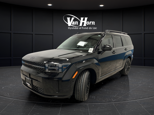 Used 2024 Phantom Black Hyundai Calligraphy image 3