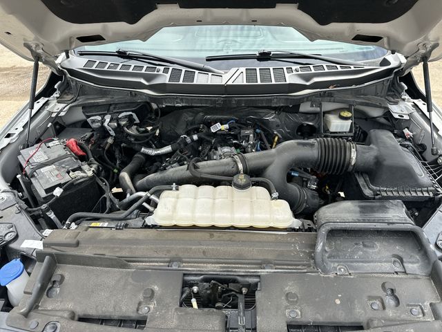 Used 2024  Ford XLT image 19