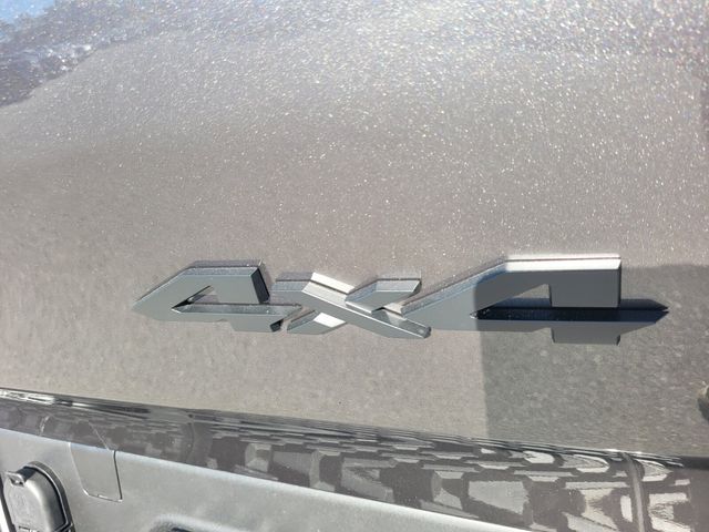 New 2026 Gray Ram Big Horn/Lone Star image 13