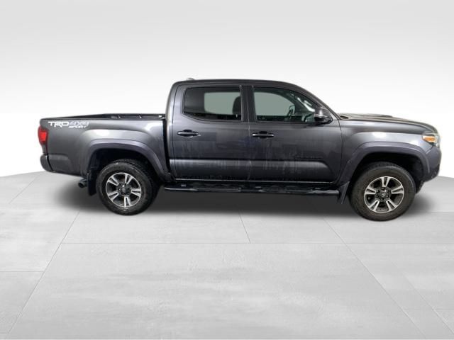 2019 Toyota Tacoma TRD Sport 7