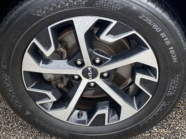 Used 2025 Kia Sportage SUV