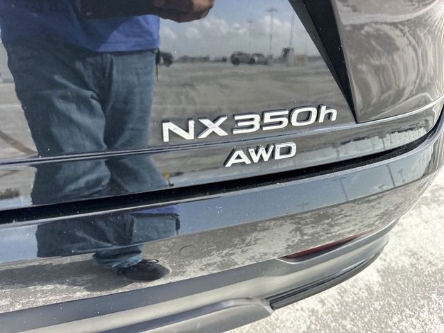 2025 Lexus NX - $47,998