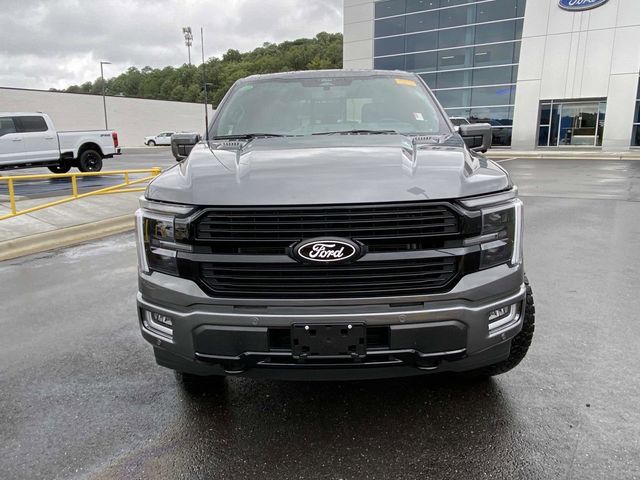 2024 Ford F-150 Platinum 9