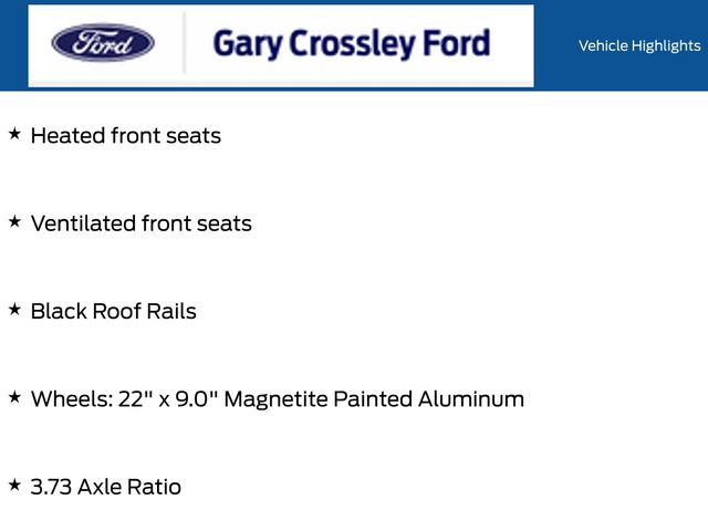 New 2026 Gray Ford Platinum image 38