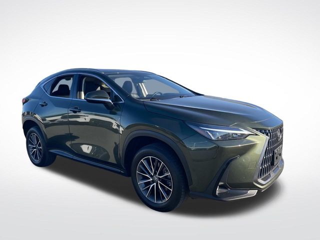 2022 Lexus NX  10