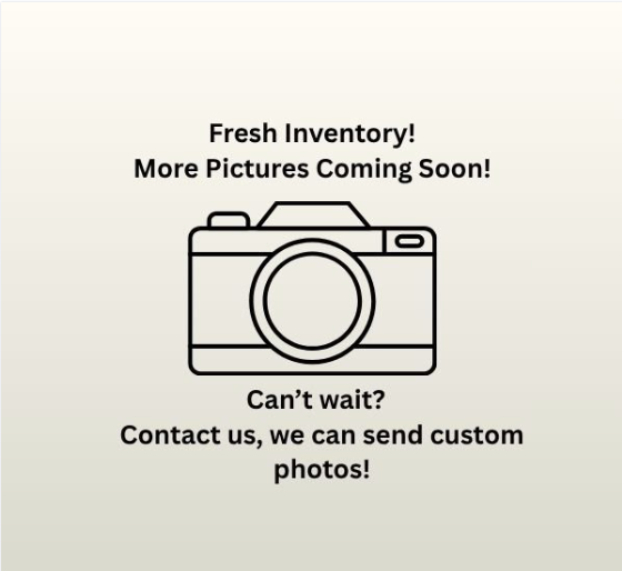 2006 Ford Focus ZXW SE's photo