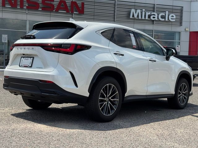 Used 2024 Lexus NX SUV