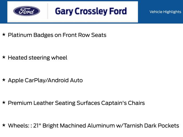 New 2026 White Ford Platinum image 19