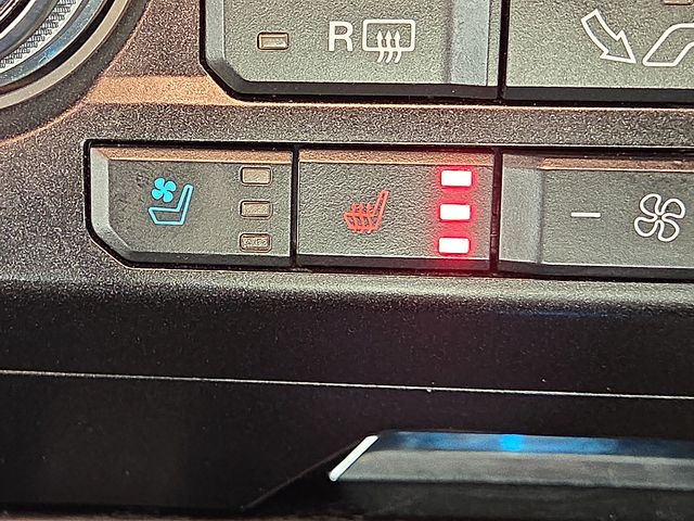 Used Car 2020 Ford F-150  Platinum For Sale Under $35,000 In Plainview, Texas