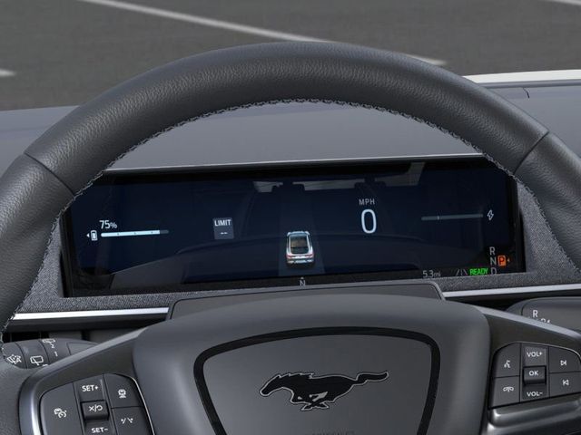 2025 Ford Mustang Mach-E GT:168810