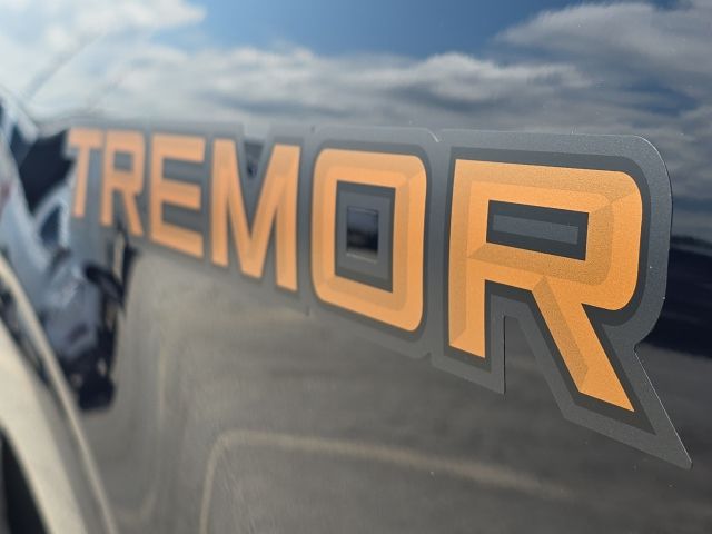 2025 Ford F-150 Tremor:B02534