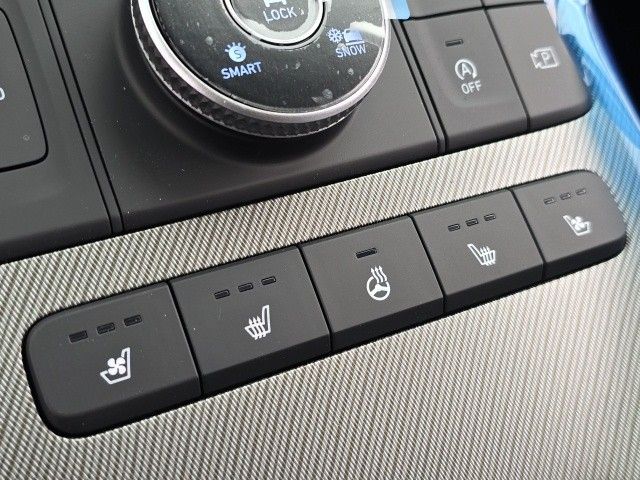Palisade SEL Premium
