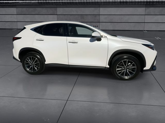 2024 Lexus NX - $38,588