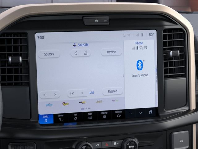 New 2026 Gray Ford STX image 14