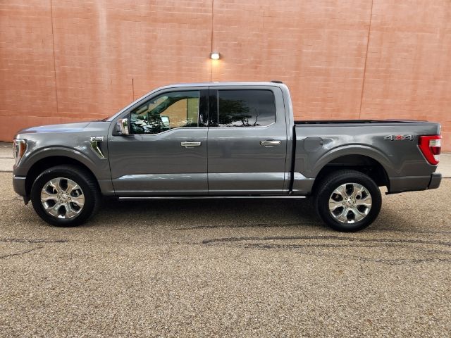 2023 Ford F-150 Platinum 3