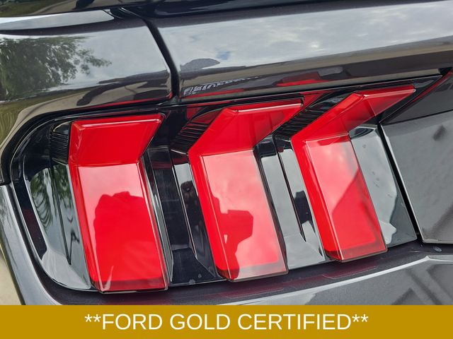 Used 2024 Gray Ford GT Premium image 32