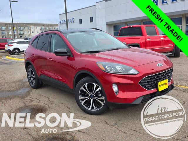 2022 Ford Escape SEL AWD