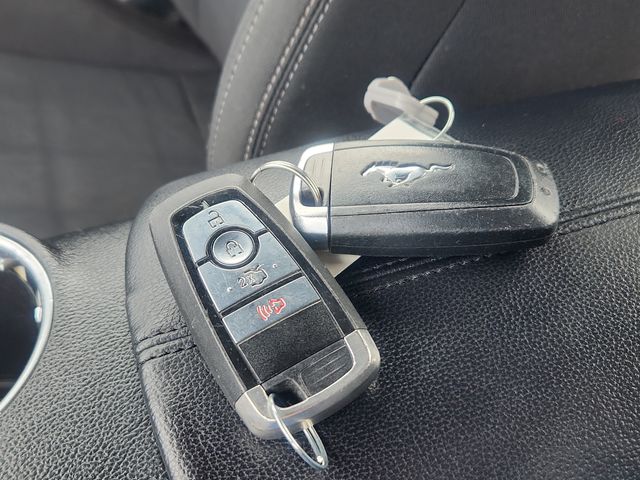 Used 2018 Ford Mustang For Sale in Grove City, OH