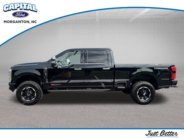 New 2026 Black Ford Platinum image 4