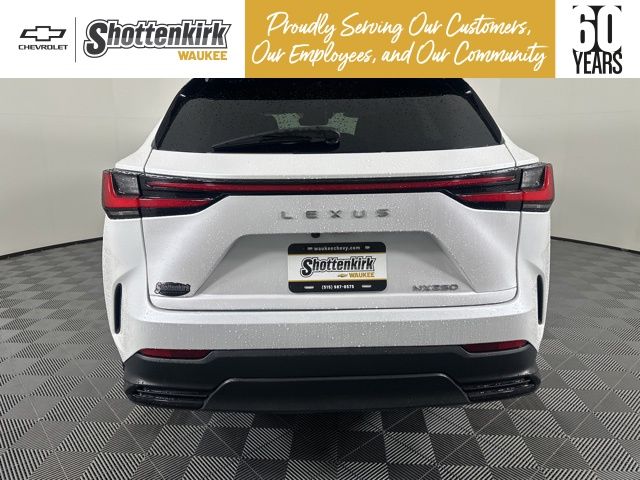 Used 2025 Lexus NX SUV