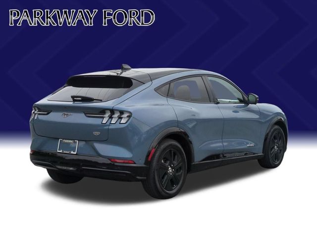 Used 2023 Blue Ford California Route 1 image 5