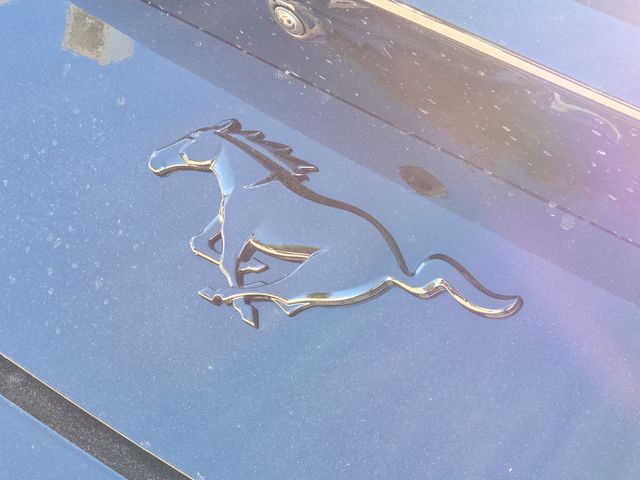 New 2026 Black Ford EcoBoost image 10