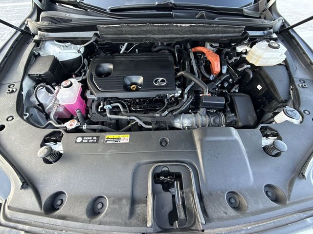 Used 2024 Lexus RX SUV