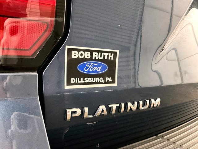 2019 Ford Expedition Platinum Blue at John Sisson Motors