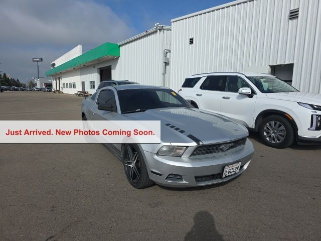 2010 Ford Mustang V6 Coupe RWD